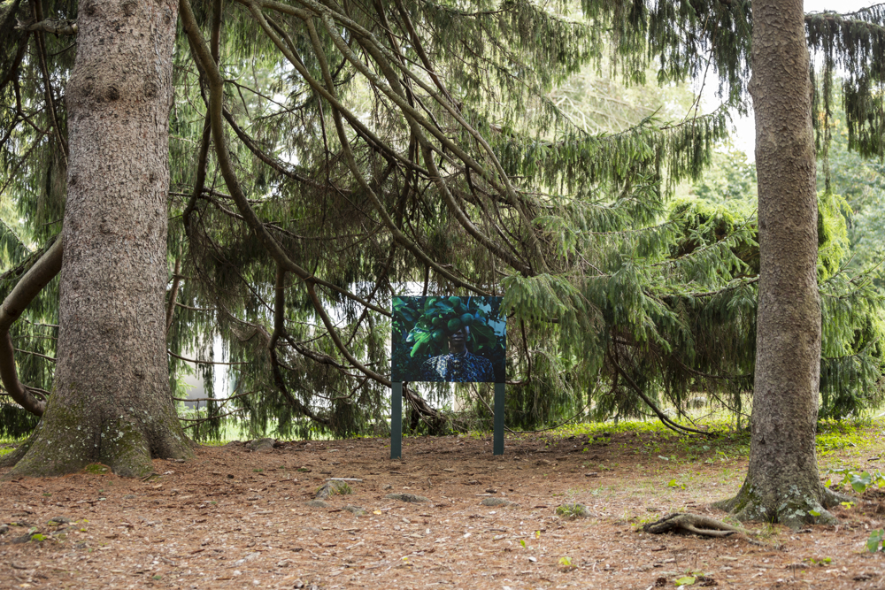 Image of a woman with a plant in front of her face installed in the woods with trees surrounding it.